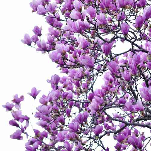 آرش والا دیگه برام نمونده یه خواب راحت